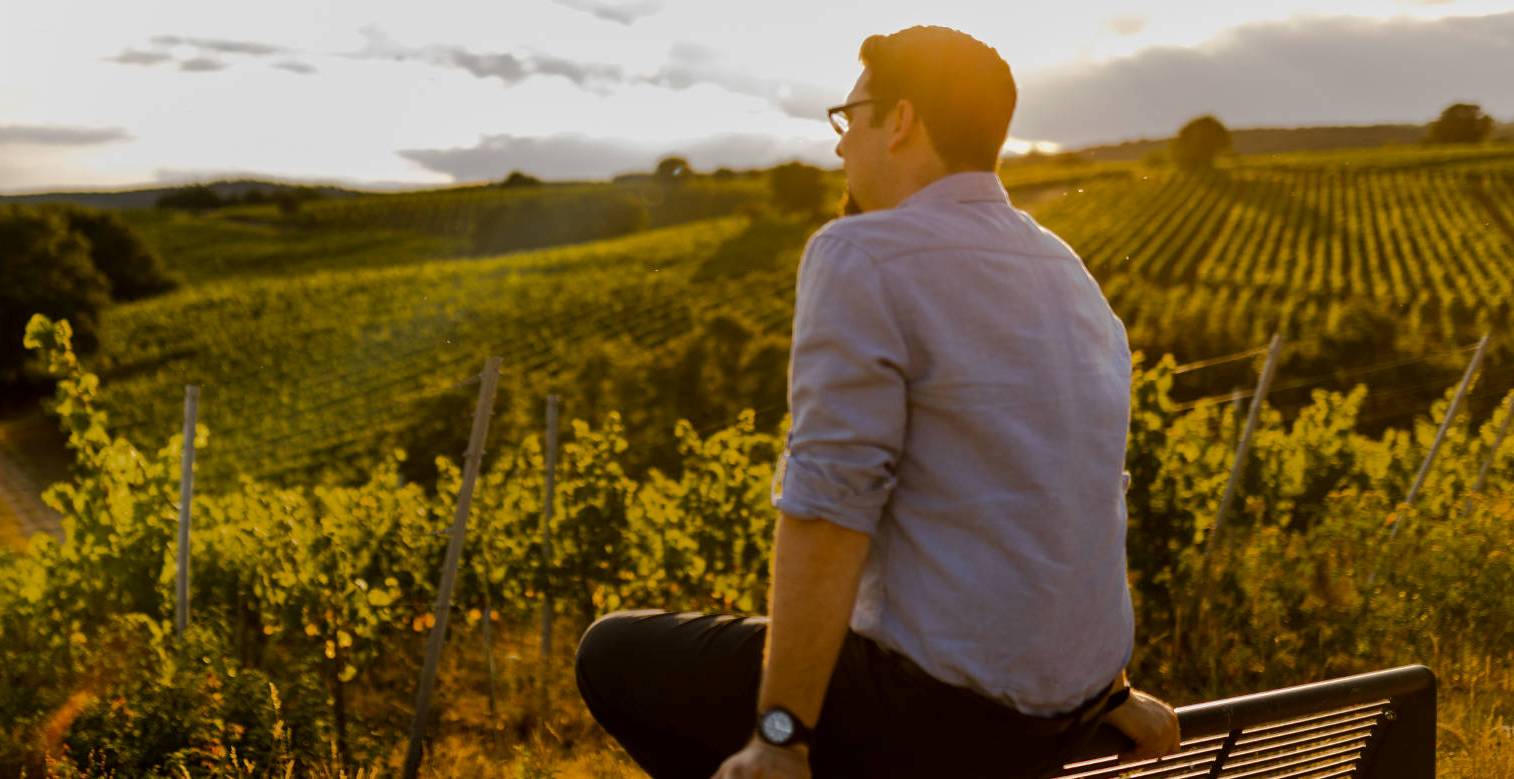 weingut barth2